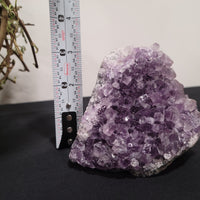 Amethyst Cluster - Self Standing