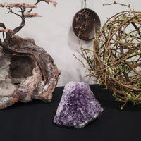 Amethyst Cluster - Self Standing