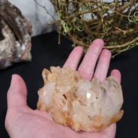 Golden Healer Quartz Cluster - Arkansas - 9.1 ounces (256 grams)