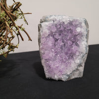 Amethyst Cutbase - Self Standing Amethyst Druzy Cluster - Light Purple