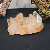 Golden Healer Quartz Cluster - Arkansas - 9.1 ounces (256 grams)